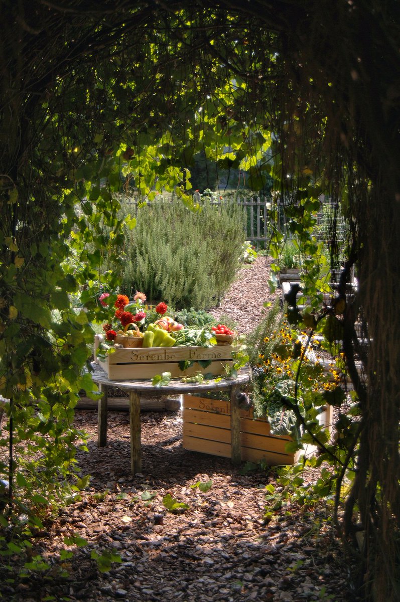 <a href="/Serenbe/">serenbe</a> named a "Dream Destination Where the Food Is Reason Enough to Visit" We agree...nothing better than a vegetable that's fresh out of your neighborhood farm! <a href="/SerenbeFarms/">Serenbe Farms</a> <a href="/Food52/">Food52</a> goo.gl/oxZ1cP