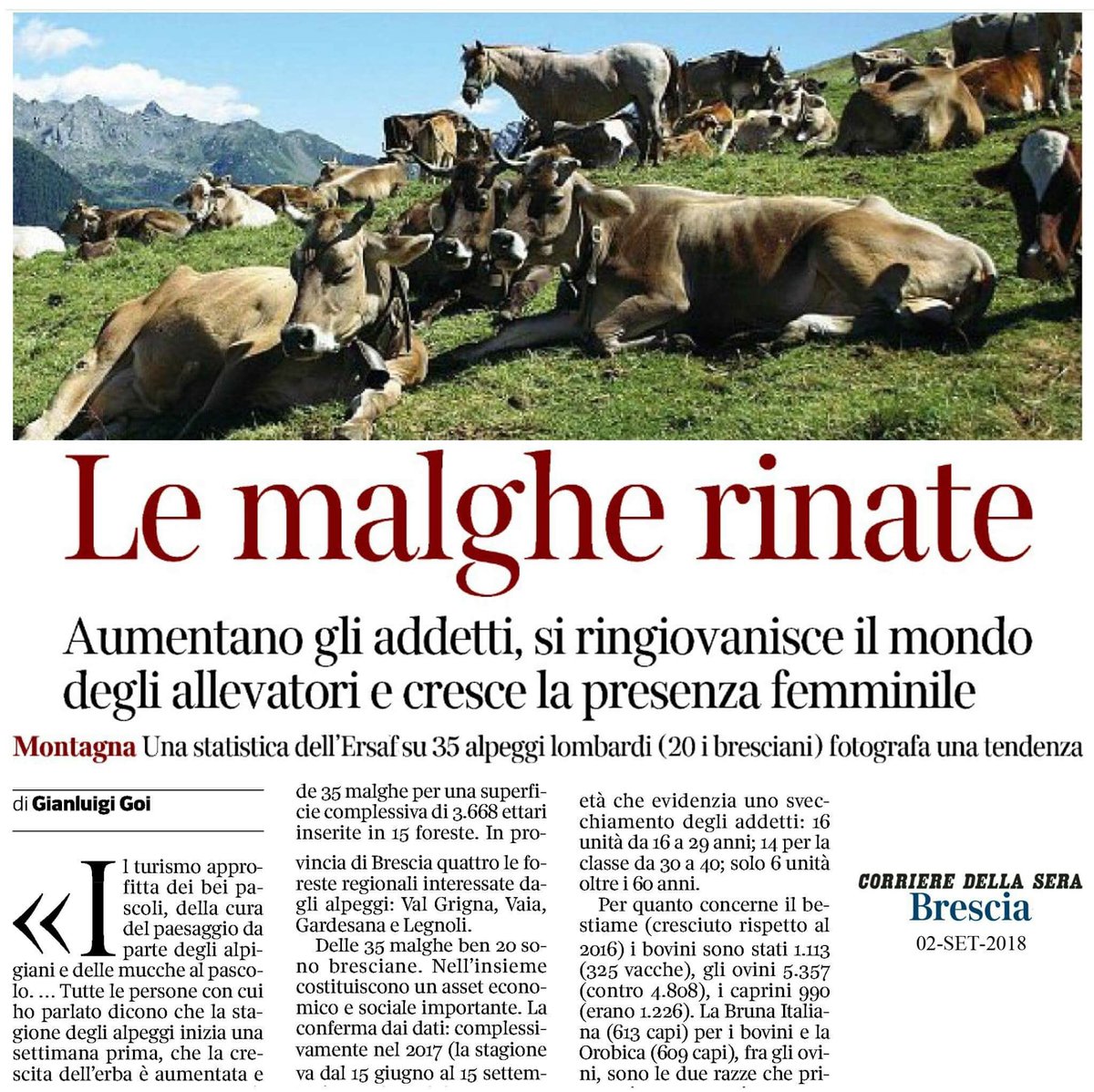 MassimoSertori_'s tweet photo. Gli #alpeggi lombardi sono #rinati: aumentano gli addetti del settore, si ringiovanisce il mondo degli #allevatori e cresce la presenza femminile. Sono positivi i dati diffusi da #ERSAF.
#LombardiaAlLavoro https://t.co/XQ1eZV9pJJ