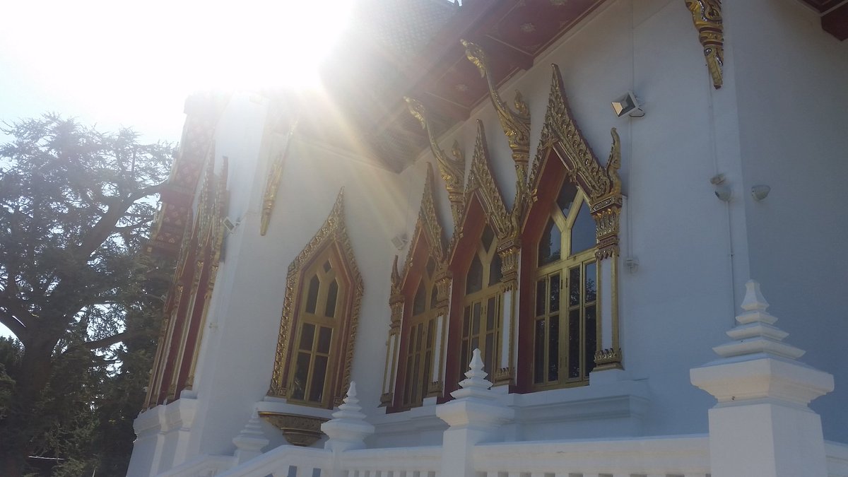 travels_always's tweet photo. #Buddhapadipa Temple lovely place to recharge! Free to visit as well! https://t.co/qxAS6XjtkB