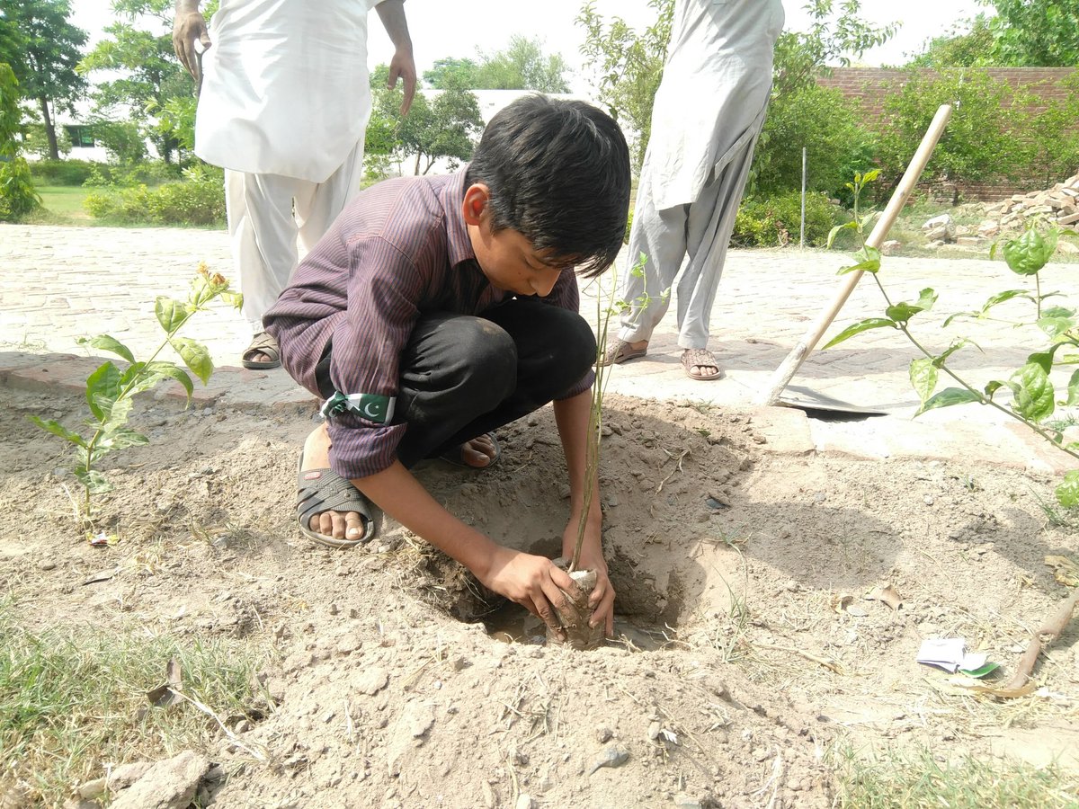 povtaqi's tweet photo. #Plant4Pakistan 
#future #GreenPakistan https://t.co/lm9a11ViG7
