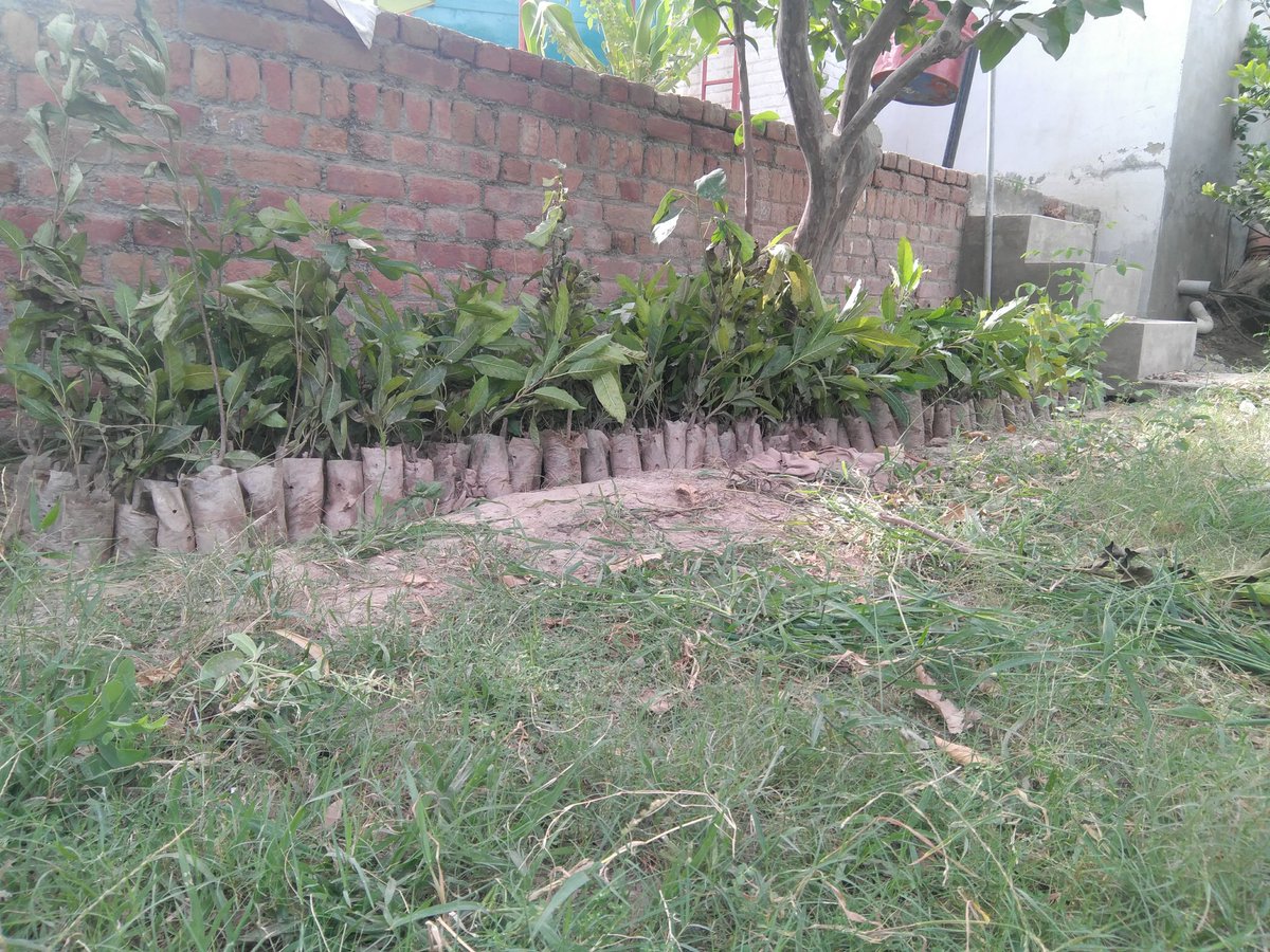 povtaqi's tweet photo. #Plant4Pakistan 
#future #GreenPakistan https://t.co/lm9a11ViG7