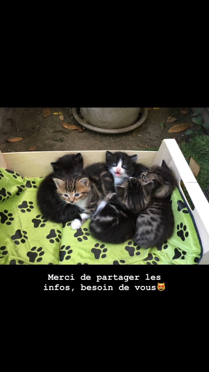 Margot Cirou tweet media