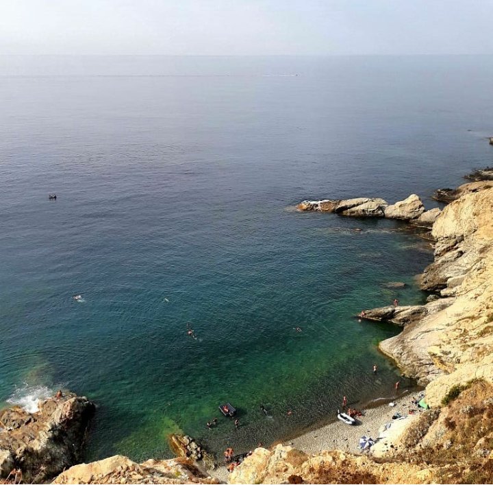 _sarah_zi's tweet photo. Wanderful view in #TipazaDamous  #BeniHaoua 
#landscapephotography #photo #Travel #traveling #Algerie #dz #Tourisme #nature  #discoveralgeria #Voyage #paysage #pictures #adventure #nature #photography #discover #view #vacation #Alger #Algérie #الجزائر #تصويري #السياحة https://t.co/bSN1cZJgYN