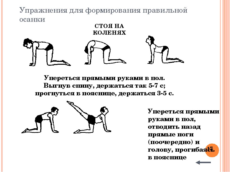 позировали перед упражнения для формирования осанки картинки что