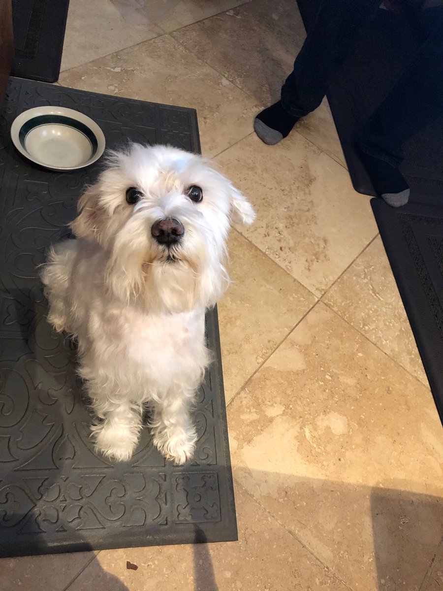 TaTaTheGoodGirl's tweet photo. First time getting a shower since @iris_tsing went to college🧡 https://t.co/dPlJK9bp6Z