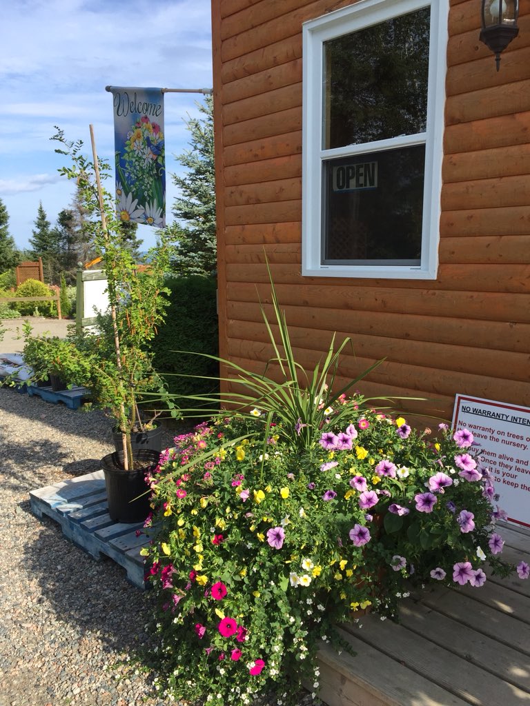 SoniaGlover9's tweet photo. So proud today to add a memorial chair to the grounds of Beauty of Flowers Nursery in honor of our amazing father. A tribute to his hard work and passion for #horticulture and rural NL that can be enjoyed by customers for years to come. #LovedForever #Family #BuyLocal #HareBay https://t.co/gISChtaPnz