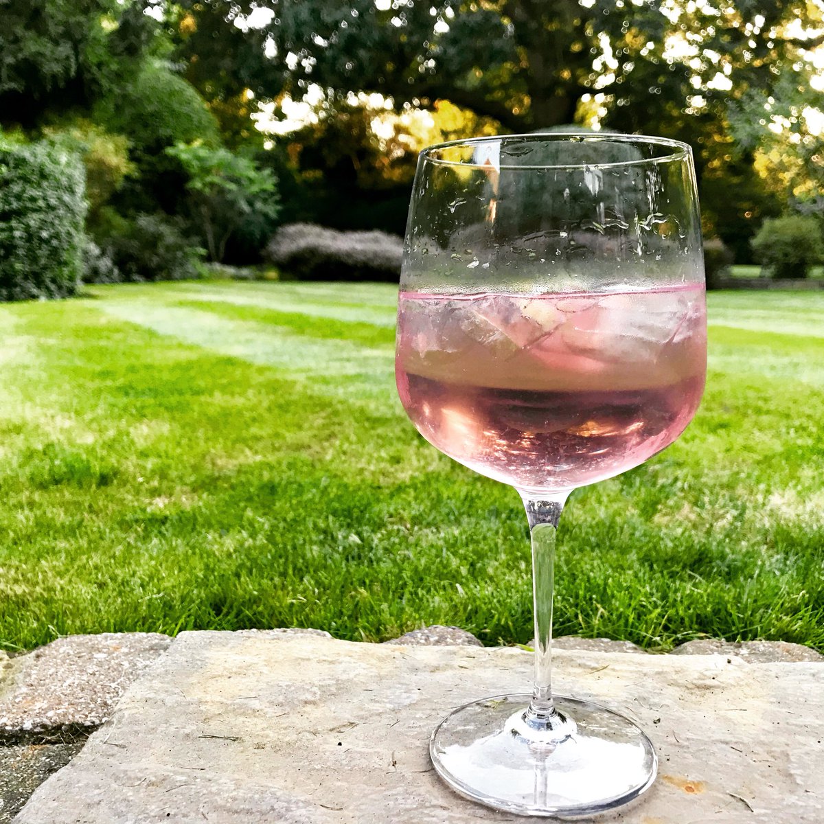 rexgold's tweet image. I suspect, we will not be getting many more lovely weather weekends in the UK for 2018 as we head into Sep, so today was a day for G&amp;amp;T time.  #bombaysapphire #fevertreetonic #ginandtonic #cheers