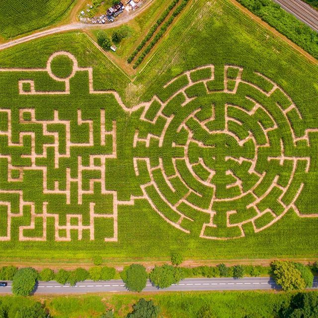 Clue for the maze 😉
#fromwhereidrone #topdown #fromabove #nord #france🇫🇷 #maze #field #dronestagram #dronejunkie #drone #djiglobal #djiphantom3 #skypixel #dailyoverview #skysupply #aerialpic #aerialphotography #earthofficial #labyrinthe ift.tt/2ovIQgm