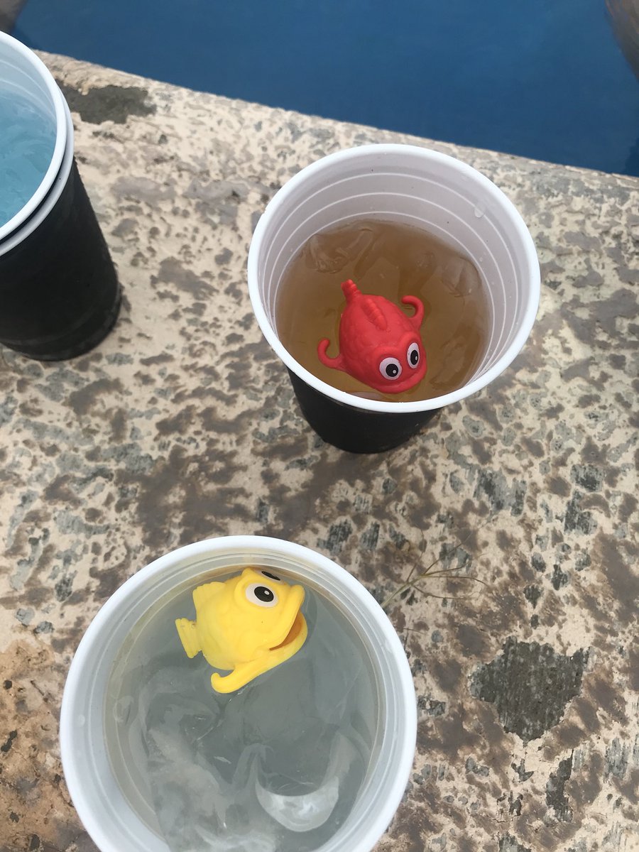 Mis amigos compraron peces para diferenciar sus vasos en la peda