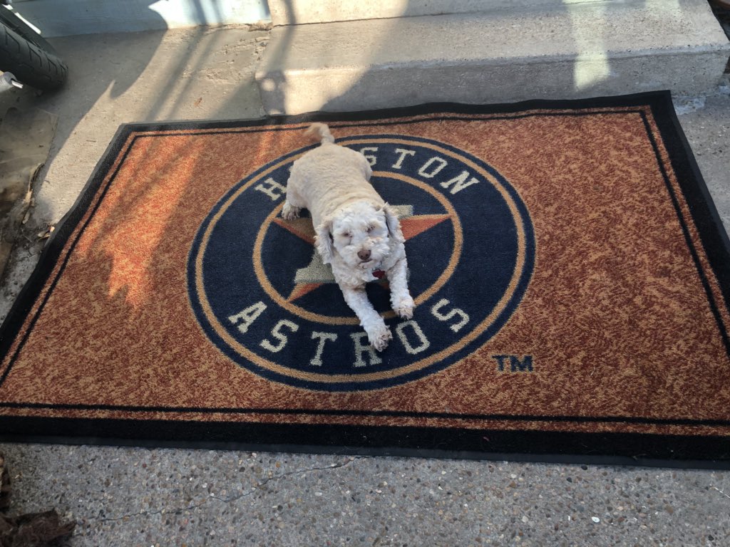 yurmomashouse's tweet photo. @JuliaMorales @HOUPetsAlive @astros #fival is ready, go Astros 🤙🏼🔥 https://t.co/PCvldWQMqs