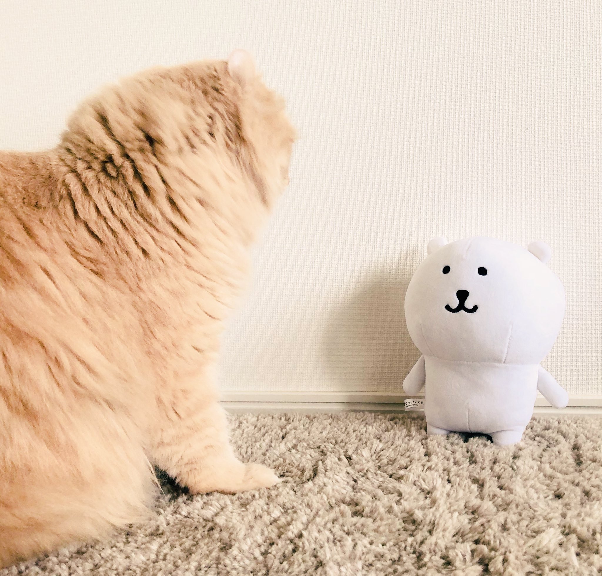 Amazon.co.jp: 自分ツッコミくま ぬいぐるみS HAPPY : おもちゃ