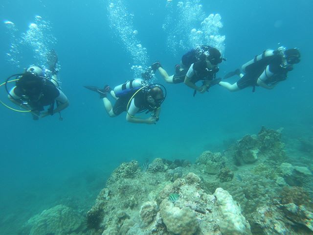 The Raid Advanced 35 #diving #scuba #sea #underwater #scubadiving #ocean #padi #diver #underwaterphotography #diveraid #freedive #sealife #summer #divealphavietnam #adventure #scubadivingmag #nhatrang #love #vietnam #nhatrangdiving  #nhatrangbeach ow.ly/JJTm30lEOUy