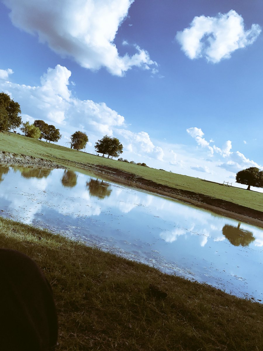 tooXbrutal's tweet photo. Where they at though https://t.co/UD7h52jpOn
