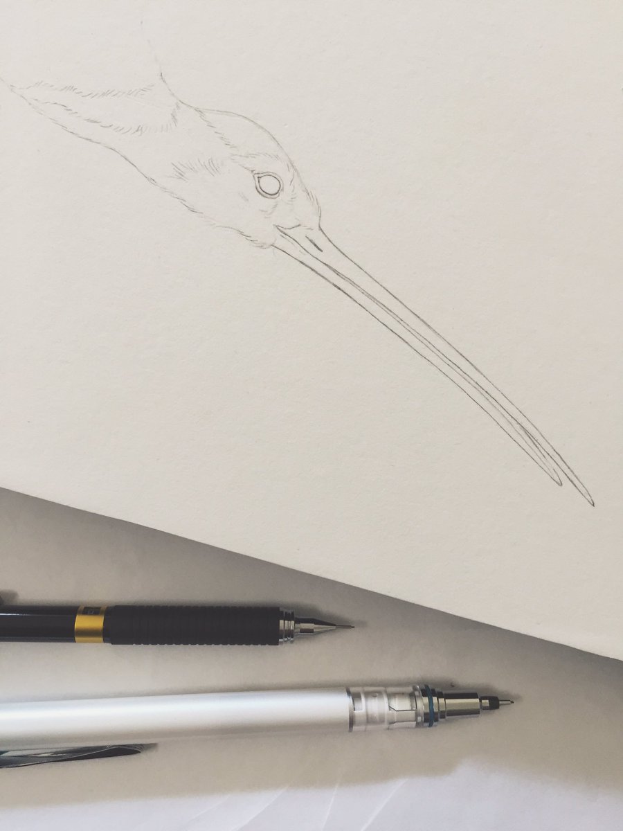 Nicomi Nix Turner tweet media