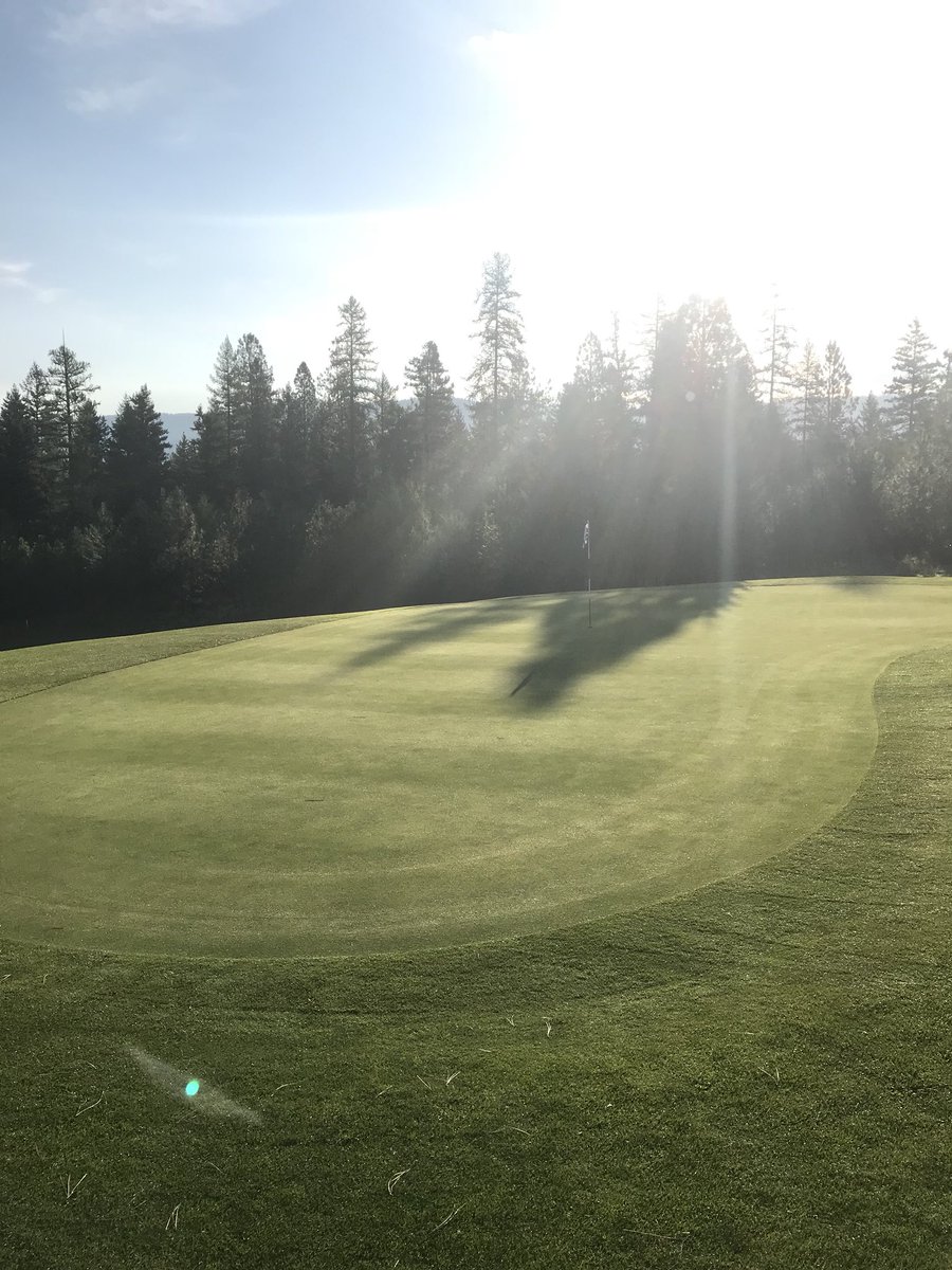 CVGCSUPER's tweet photo. Love be the way the course comes together this time of year!#golf #turf #turflife #golfmt #greenisthenewgreen https://t.co/k2tyluuspG