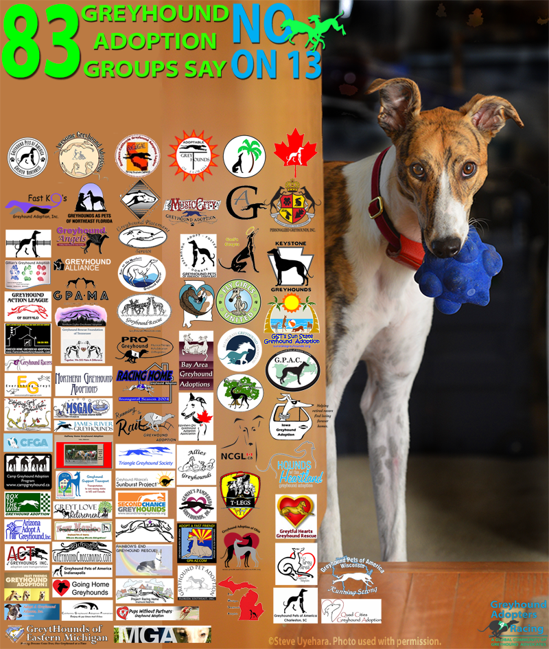 Adopters4Racing's tweet photo. @cate_bronson @DarrenMul Absolutely false. 83 independent adoption groups across North America oppose 13 and are not an extension of the racing industry. You are spreading a lie, Cate, about hundreds of hardworking volunteers who have come to oppose 13 on their own for several reasons. #HSUSscam #NOon13 https://t.co/CNaaM96hOJ