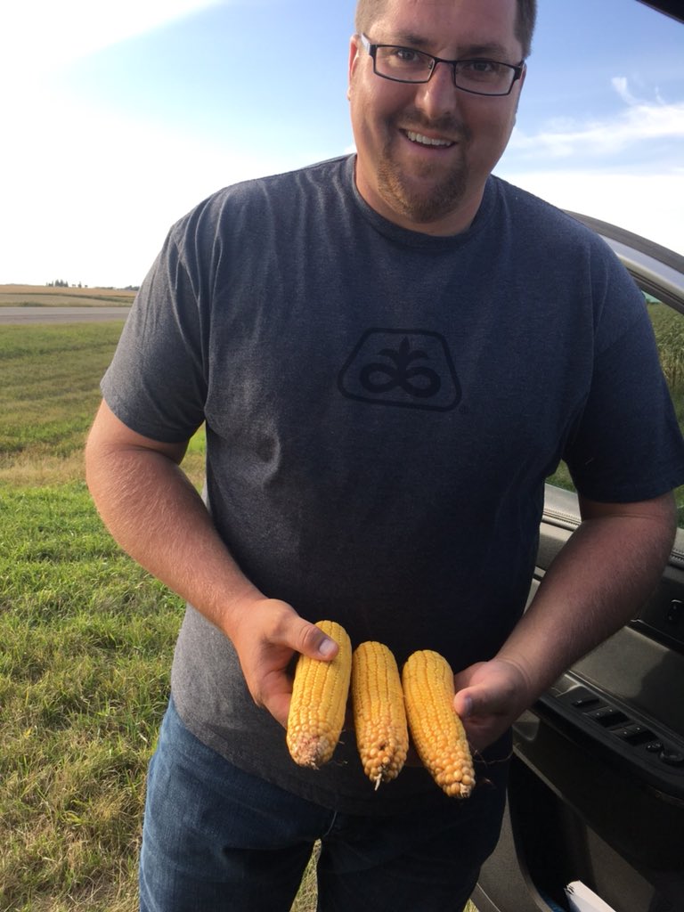 RoncerayDan's tweet photo. #bigbushels #earlycorn #P7005 @PioneerSeedsCA #roncerayseedsltd https://t.co/TLrWF4N6Gn