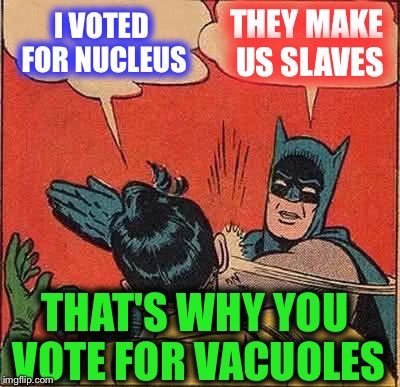 VictorVacuole2's tweet photo. https://t.co/wzE18I65q0