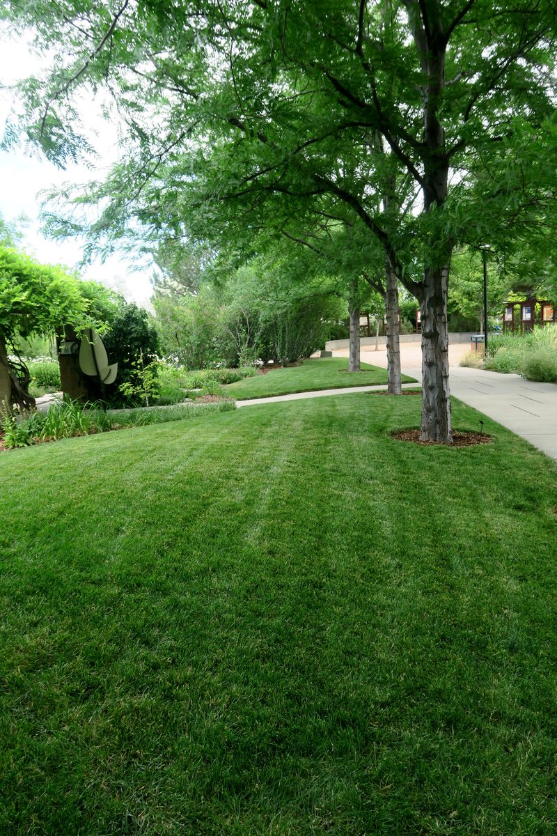 stage3app's tweet photo. Did you know a healthy lawn improves air quality? Lawns can trap pollen, dust, and carbon dioxide.
#stage3app #airquailty #lawncarebenifits #landscapersfriend #landscaping #landscapers #lawncare https://t.co/0ip2i2byc8