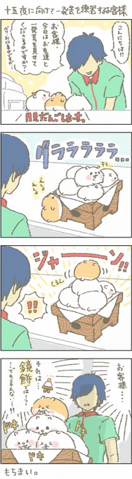 ぬぬ!!お客様……。

#もちもち #お客様困ります #ハムスター #ねこ #お月見 