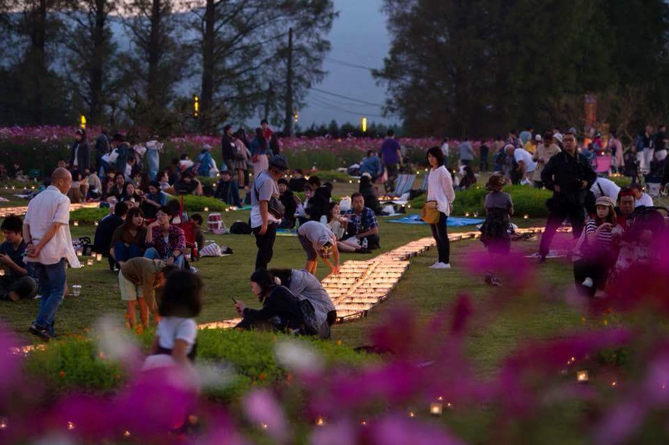 こんにちは♪
花の駅生駒高原です。
生駒高原では今年もコスモスまつりを開催致します！

【2018生駒高原コスモスまつり】
  ●開催期間
     9月22日（土）〜 10月28日（日）
  ●ナイトコスモス
     10月6日〜8日（3連休）
  ●Akari to live
     10月13日・14日（土・日）