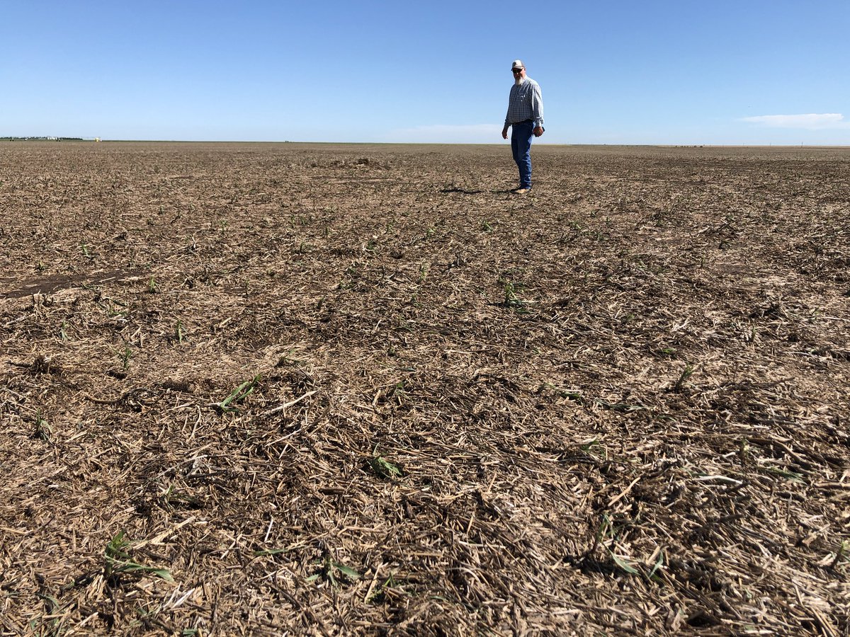 Channel Kansas (Channel_Kansas) Twitter