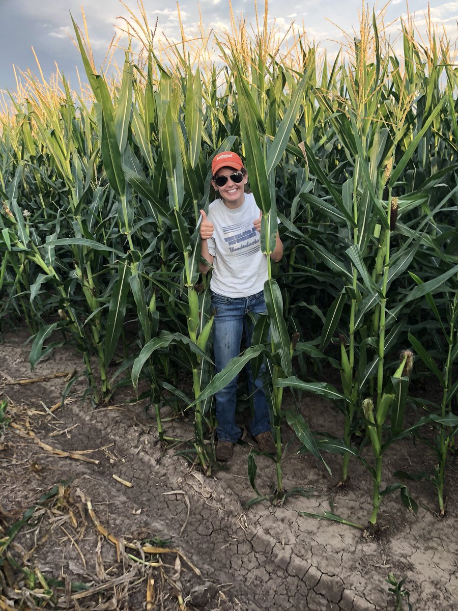 Channel Kansas (Channel_Kansas) Twitter