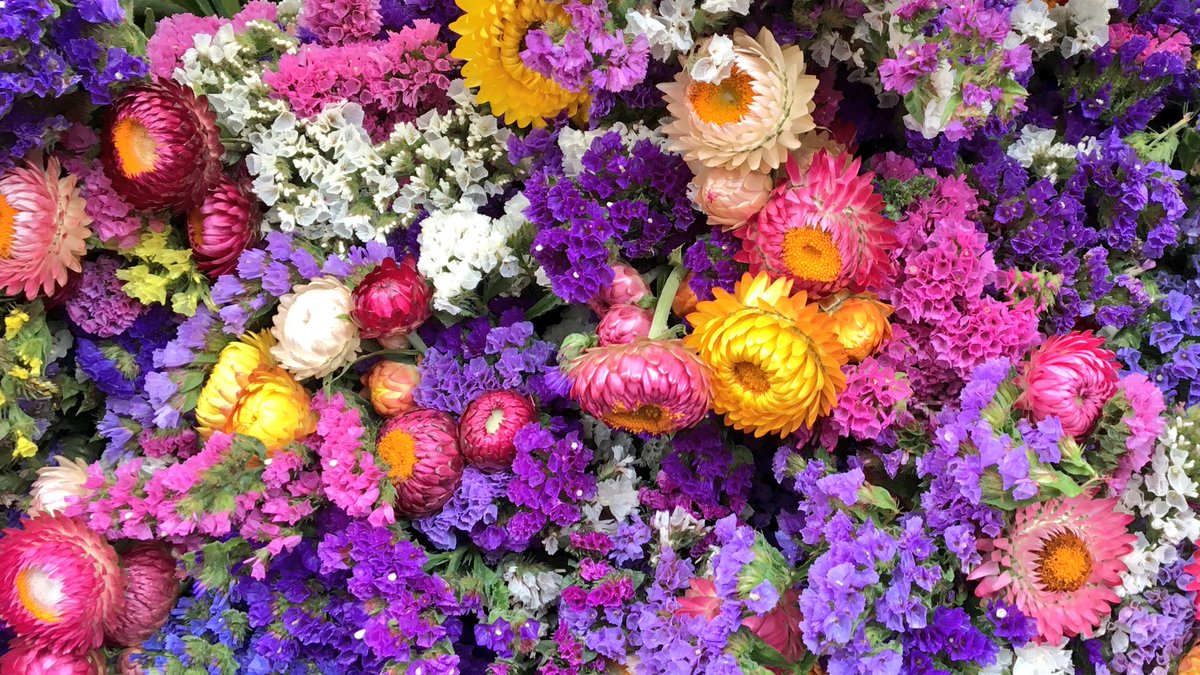 BBOPANetwork's tweet photo. Happy September 🙌🏻 and Happy Monday 👍 - what is everyone doing this month to look after #1? Any treats in store? Just remember who's important...  #SelfCare #PAs #PANetwork #PAPower #Relaxation #Downtime #AssistantsRock #HowDoYouRelax #WellBeing https://t.co/acVugYnnGH