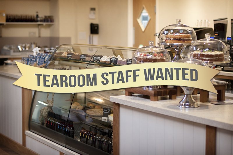 We're looking for a FOH/Kitchen team member to help deliver exceptional service and assist in the day-to-day running of our tearoom here in Lowestoft on a part-time basis (15 hpw, temporary contract).

To apply please send a cover letter to hr@mattressman.co.uk

#Jobs #Lowestoft