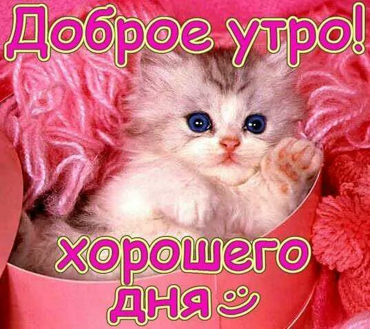 Картинки доброе утро хорошего дня дочери, открытку