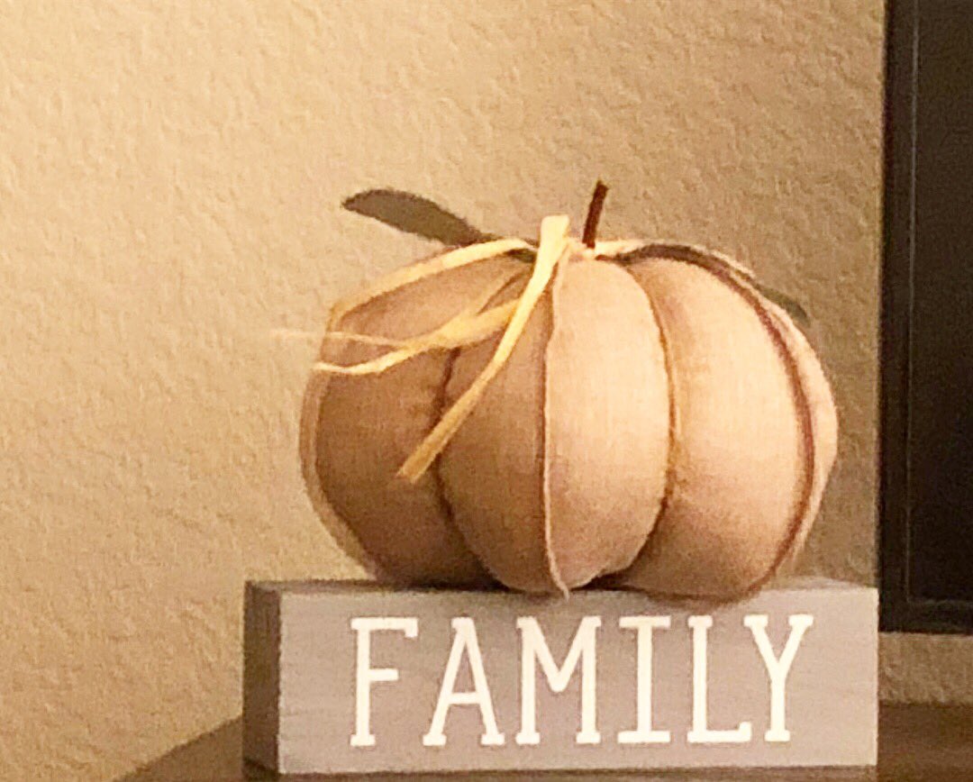 “And all at once, summer collapsed into fall.” #OscarWilde 🧡🍂🦉🍁🎃 #FALLing #AllTheFeels #MoreThanDown #StorellsFavThings #NoPlaceLikeHomeForTheHolidays #MyPotteryBarn #Family #HarvestHappiness #AllAboutAutumn @potterybarn @Hallmark @HomeGoods