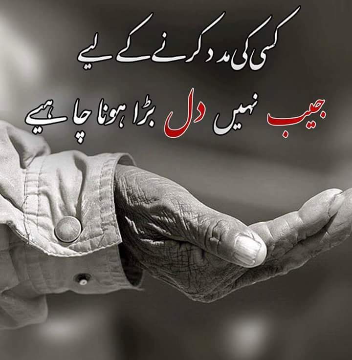 samdein's tweet photo. Agreed https://t.co/DFJgl0TEqj