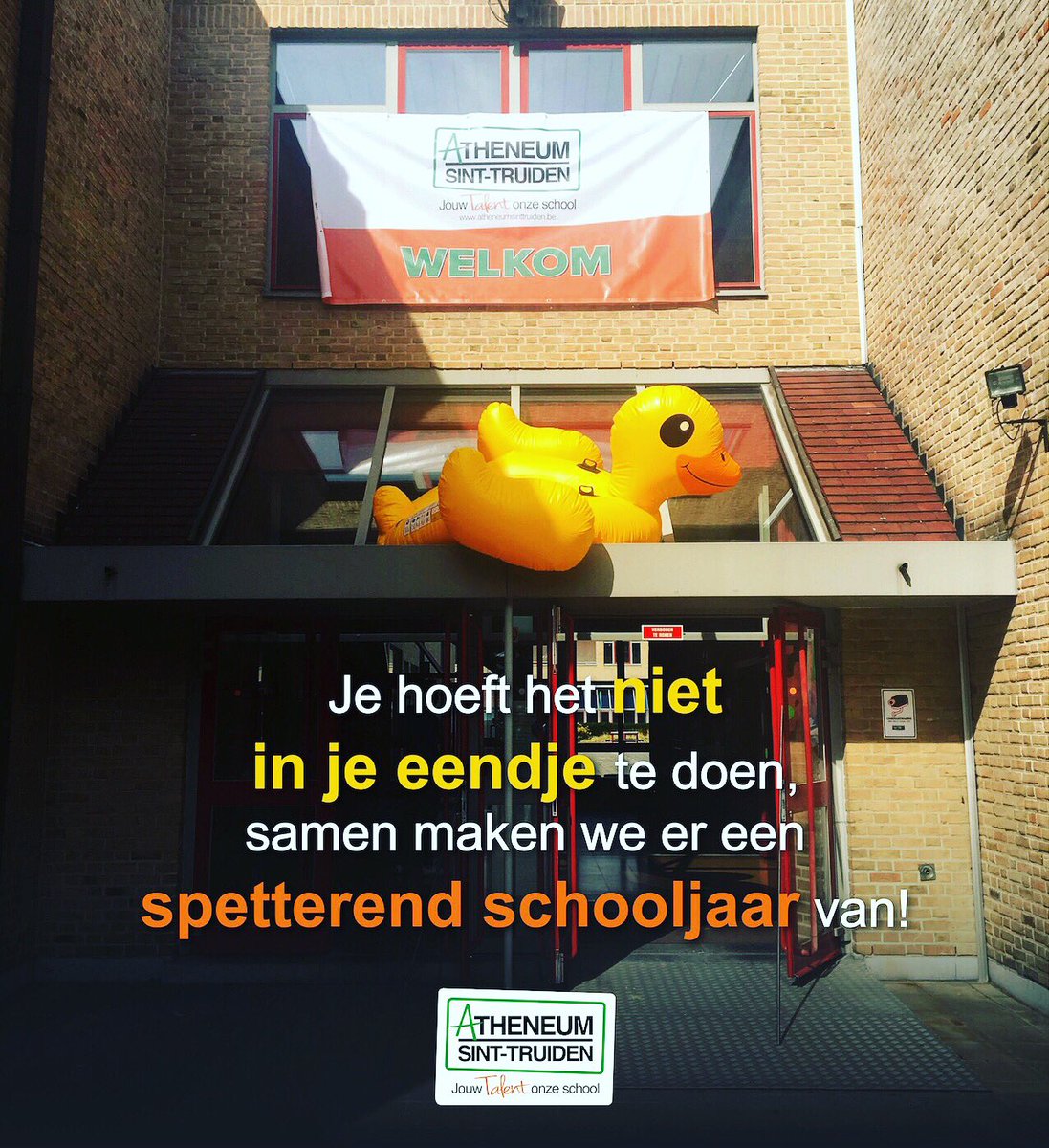 PLiebens's tweet image. GO! Atheneum Sint-Truiden Campus Speelhof heet jullie van harte WELKOM.#nietinjeeendje #samenlerensamenleven #eersteschooldag #WELKOM #atheneumsinttruiden @GO_onderwijs