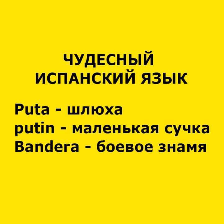 Мрія Путіна - демонтувати Євросоюз, - Макрон - Цензор.НЕТ 68