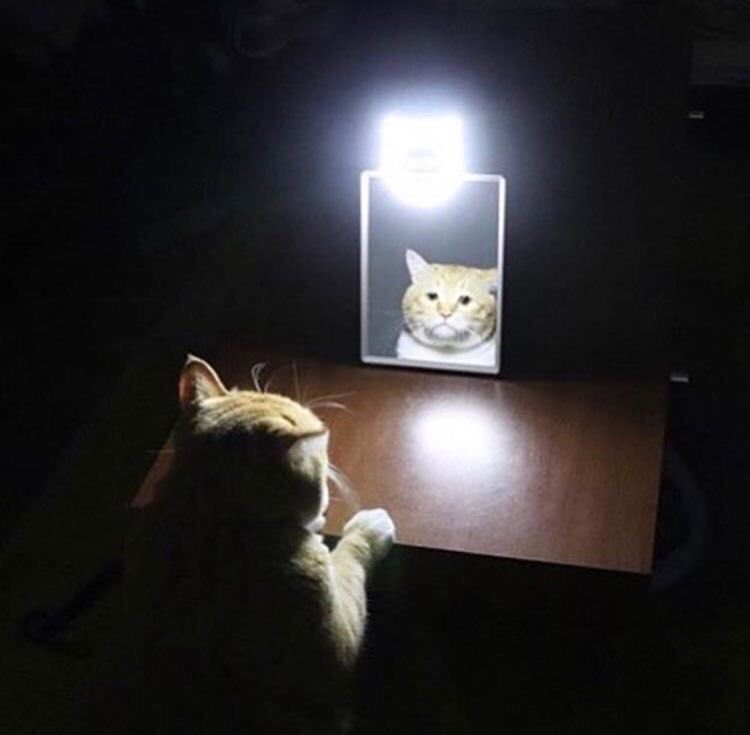 imagine the guy you like actually liking you back