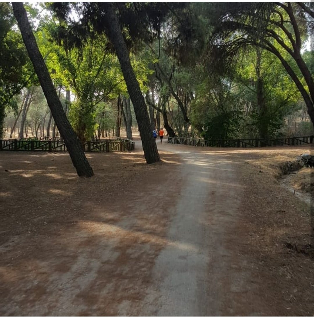 clubconfines's tweet photo. << CONFINES IS COMING >>
Nuestros #CorredoresSolidarios ya están preparados para la vuelta al cole, entrenos, post, carreras....
¡A POR UNA NUEVA SEMANA DE #KmsSolidarios!
#ClubConfines #Running #Solidaridad #AyudandoMeAyudo #RunToHelp #GrandeTeamAzu
#FelizLunes #FelizSemana https://t.co/jhsukyJM7f