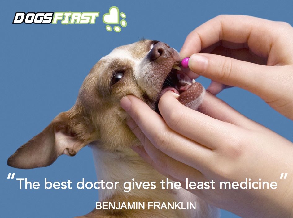 dogsfirst.ie 

#DogsFirst #DogHealth #FeedDogsFreshFood