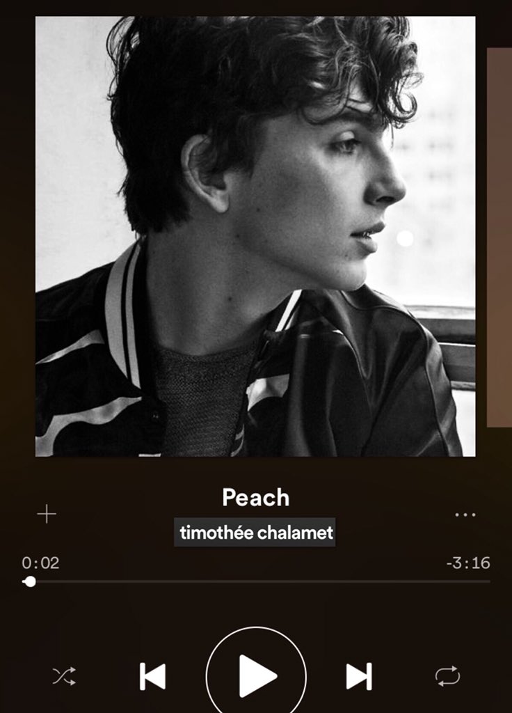 rissamayrox's tweet photo. you’ve heard the hit song Plum by Troye Sivan, and now dropping this fall from Timothée Chalamet...

Peach https://t.co/t0hwsDLwbb