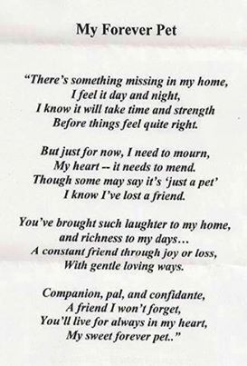 _kitchenandbath's tweet photo. #Forever #My #Pet
Please RT: https://t.co/mJe0NYyMna https://t.co/cHxBgInzoe