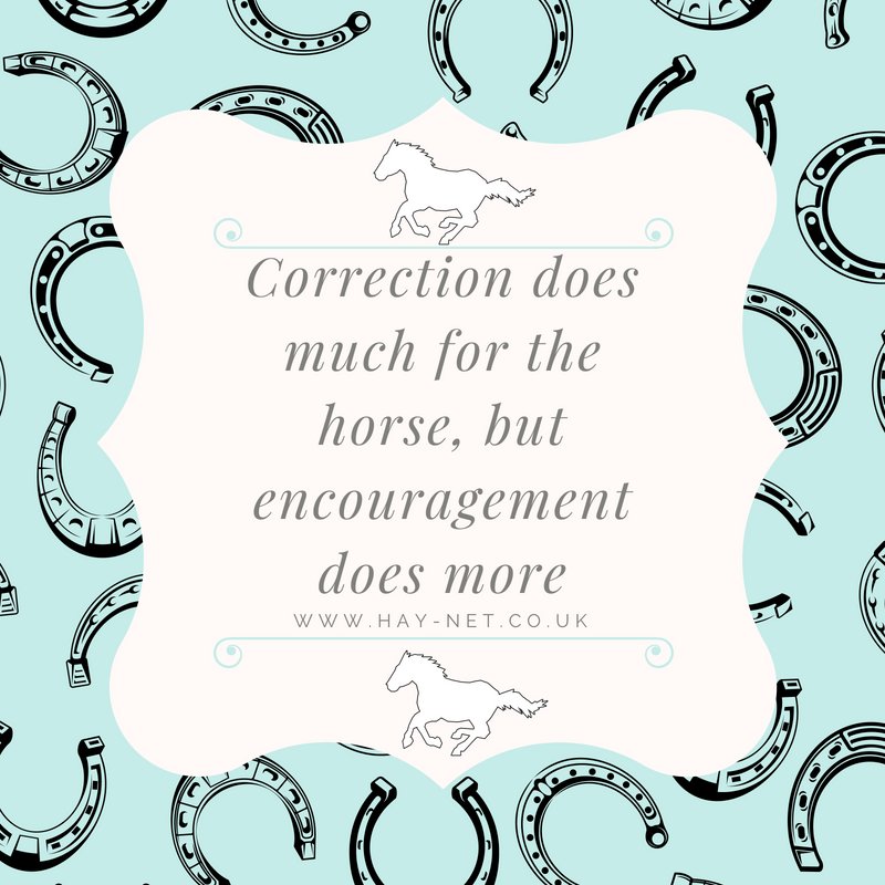 socialtailsmktg's tweet photo. Our #MondayMotivation quote which actually is for humans too. Constant correction or criticism can be deflating but encouragement always gets results. Have a super Monday! 🐎🙌🌟 #HorseBloggers #quote #motivation #quote https://t.co/RD4iNAH4P1