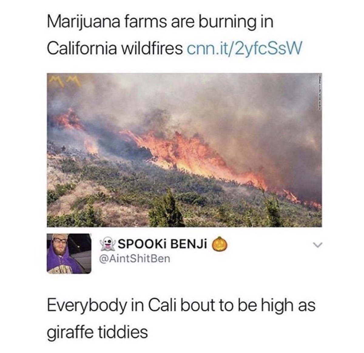 LatinGodd3ss's tweet photo. XD https://t.co/YTZ8bWrfRc