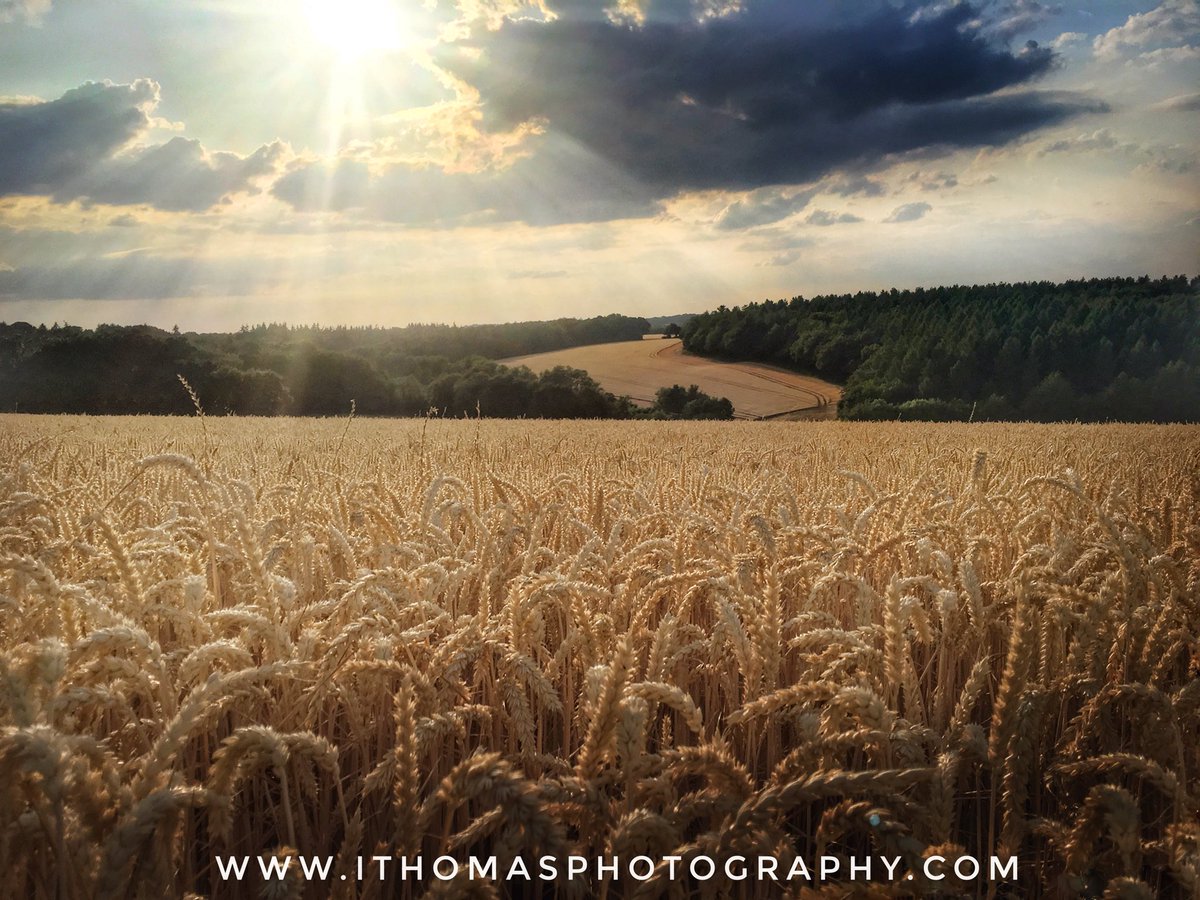 isa26367's tweet photo. Top of the Chilterns, U.K #localcapture
#dailyphoto
#landscape_captures
#ThePhotoHour
#yourshot
#nationalgeographic
#WexMondays
#canonFavPic
#HostelTraveler #photochallenge #500px #500pxrtg #NaturePhotography #natureloversgallery https://t.co/gNYfKLQi9r