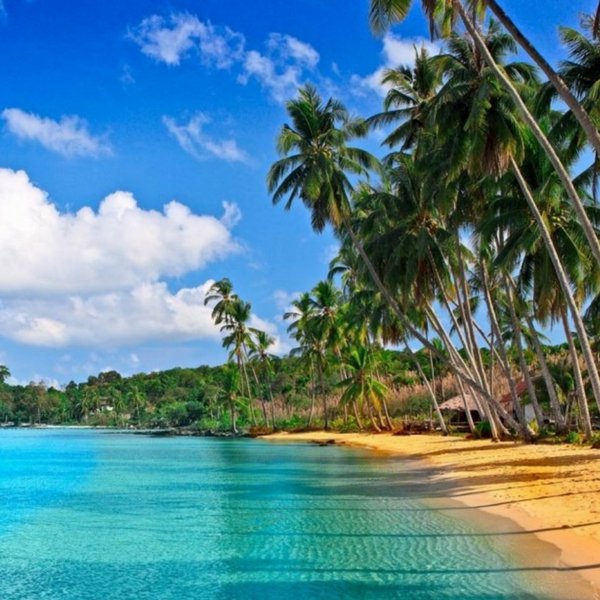 topindiantours's tweet photo. Do you love to live in reality or on even basis you like to get onboard on the #flightoffantasy?
Is motor biking a part of your desired #life or running by shores of #beaches is treat of your day??
Plan trip to #India - https://t.co/jVFj9enm8Q
#incredibleindia #TopIndianTour https://t.co/chkG1sOoIb