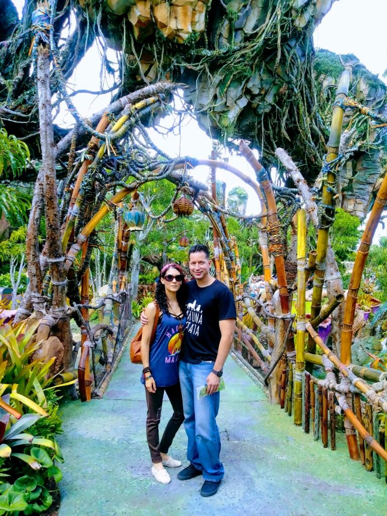 mrRayD's tweet image. 