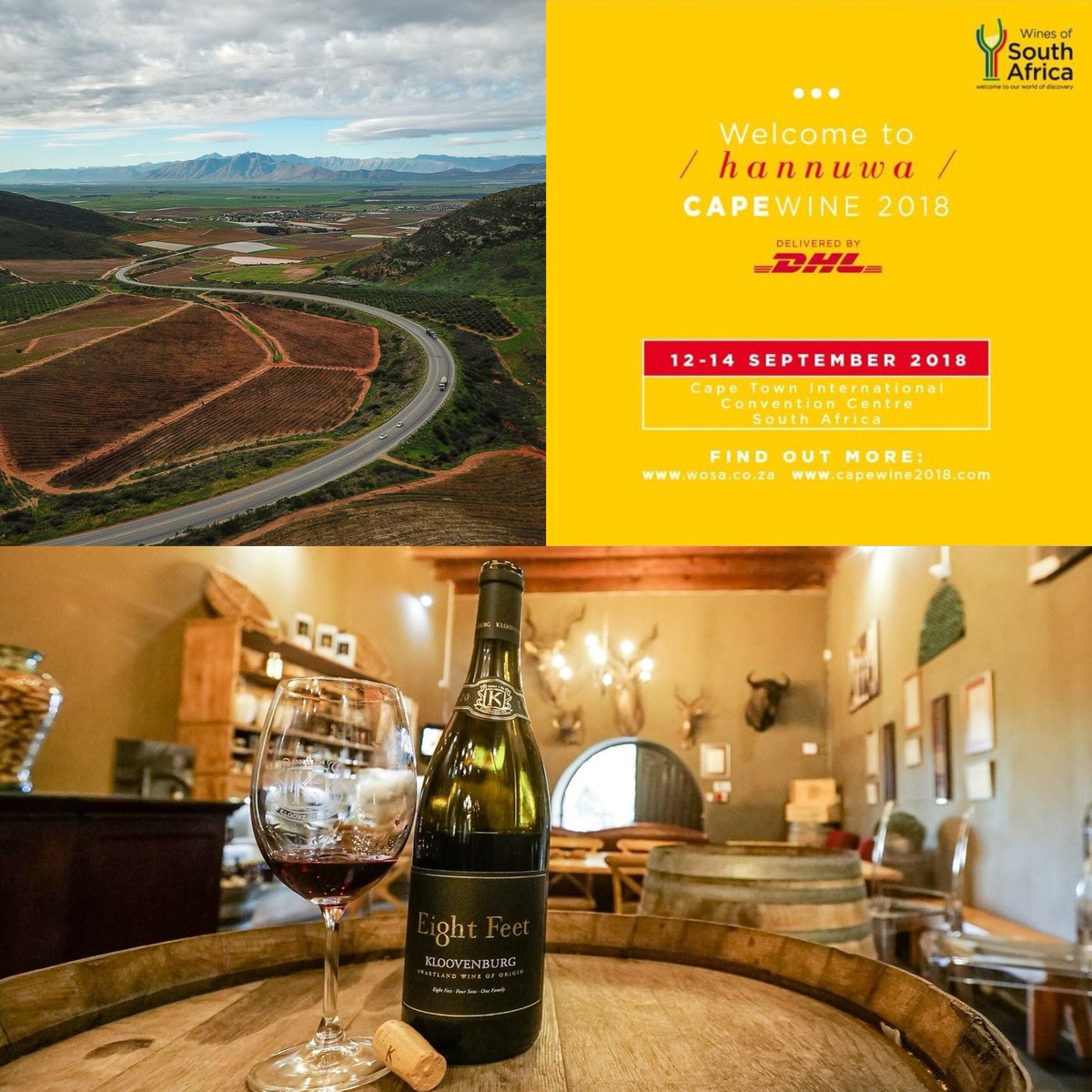 We’re extremely excited for #CapeWine2018 and look forward to welcoming you on the greater #Swartland stand to share the wines of our region. See you at stand R173!