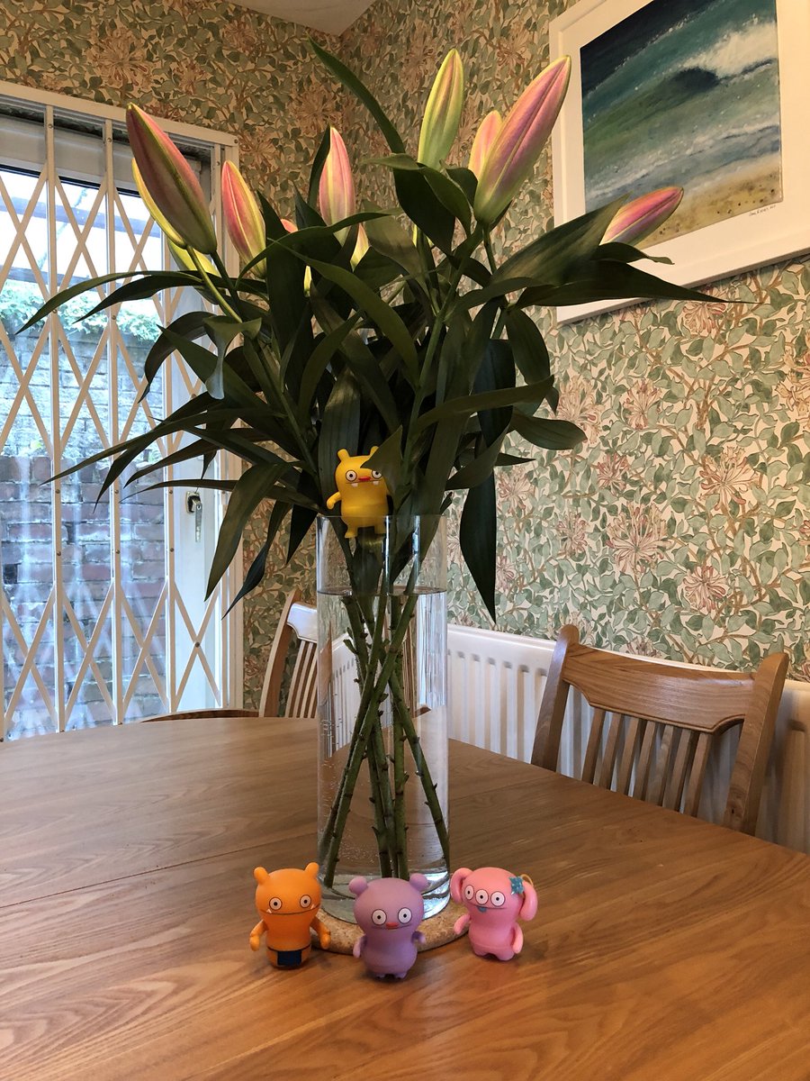 Happy Birthday to you. Happy Birthday to you. Happy Birthday dear <a href="/UGLYDOLLH/">UGLYDOLL-HOUSE</a>. Happy Birthday to you. We all hope you have a wonderful day 🍰🥂🎉🎂🎁🎈