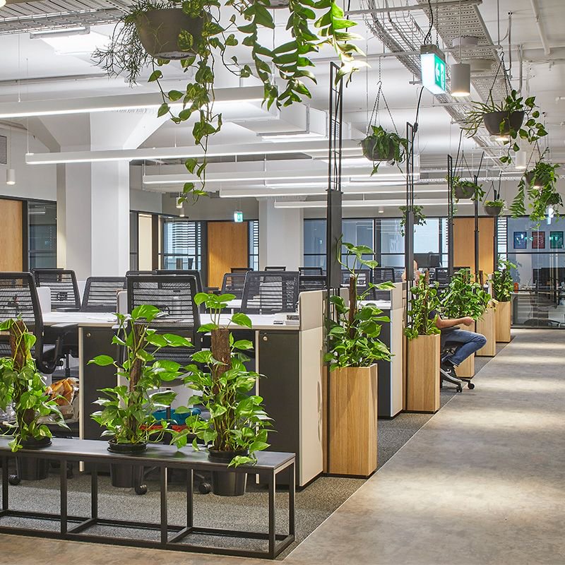 cubikaiAU's tweet photo. Humans have an innate desire to be connected with nature. We help workplaces establish a genuine connection to the natural environment. #coworking #design #cleverspaces #officedesign #spacedesign https://t.co/fQaR0DBnOh