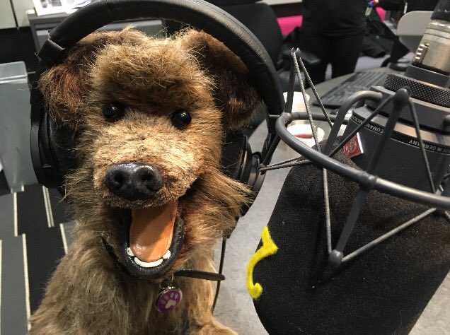 HackerTDog tweet picture