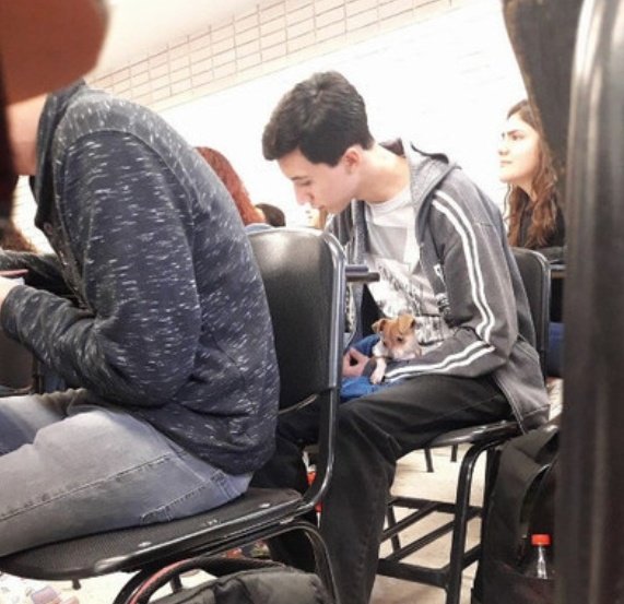 GalletasHetero's tweet photo. Profesor: En los exámenes de septiembre sólo llevad lo necesario.

me: Vale

Also me: https://t.co/W8ujNiObd5