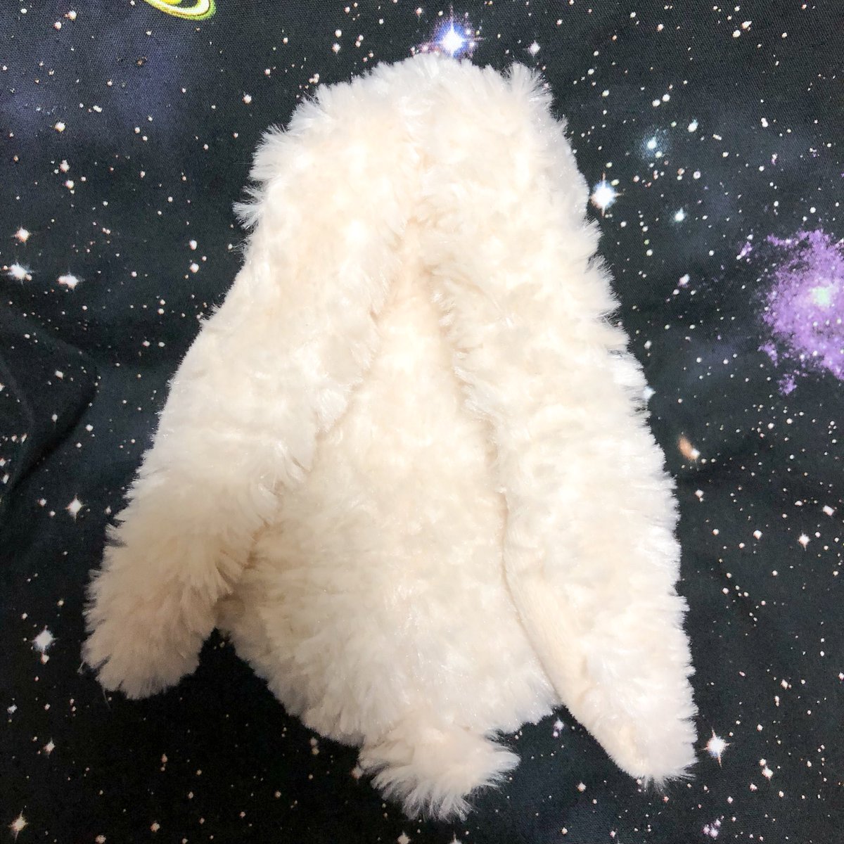 nuiusagi3's tweet photo. inware社のうさぎさん。
ドイツの出身のうさぎさんです。
お耳がとても長いのが特徴的ですね。
ふくふくしてとてもかわいいうさぎさんです!
#ぬいぐるみ #ぬいぐるみ大好き #うさぎ #うさぎのぬいぐるみ #ウサギ #ぬいどり #ぬい撮り #inware https://t.co/rxTV3pncWS